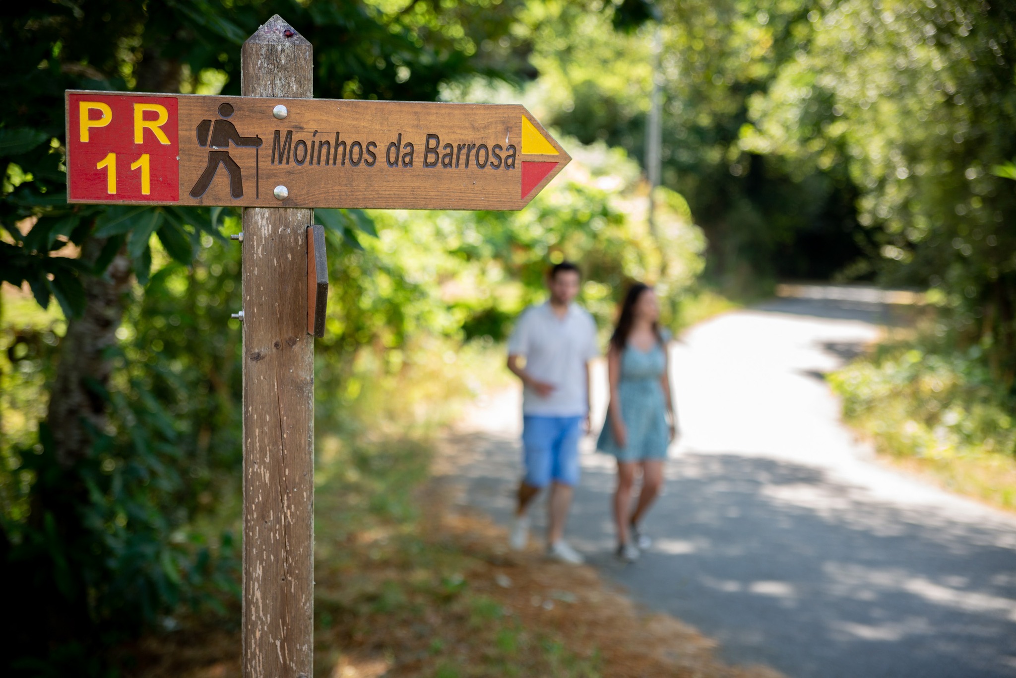 Visita pelo Trilho das Levadas com a WhyNot – On Nature