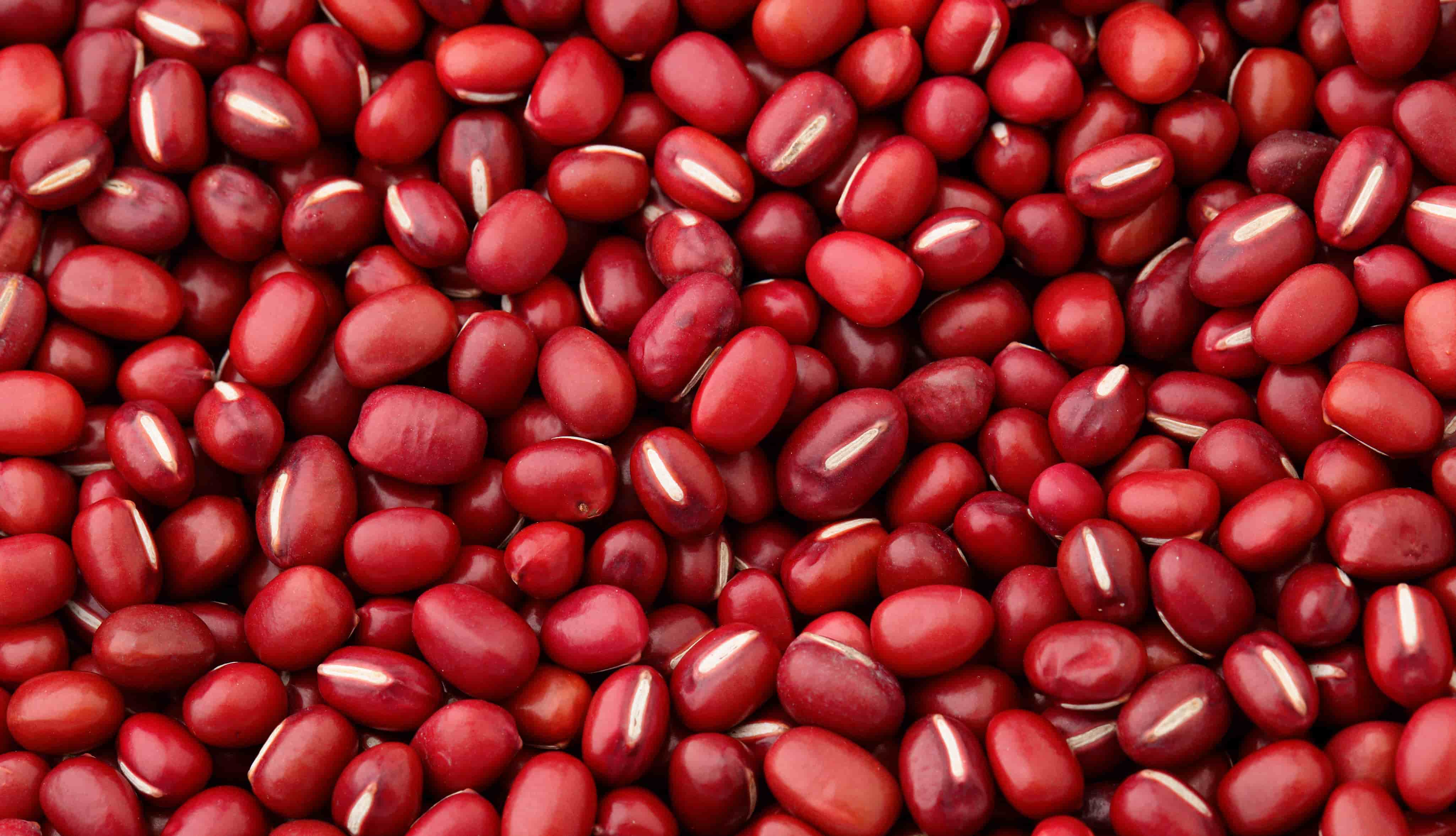 Feijão vermelho