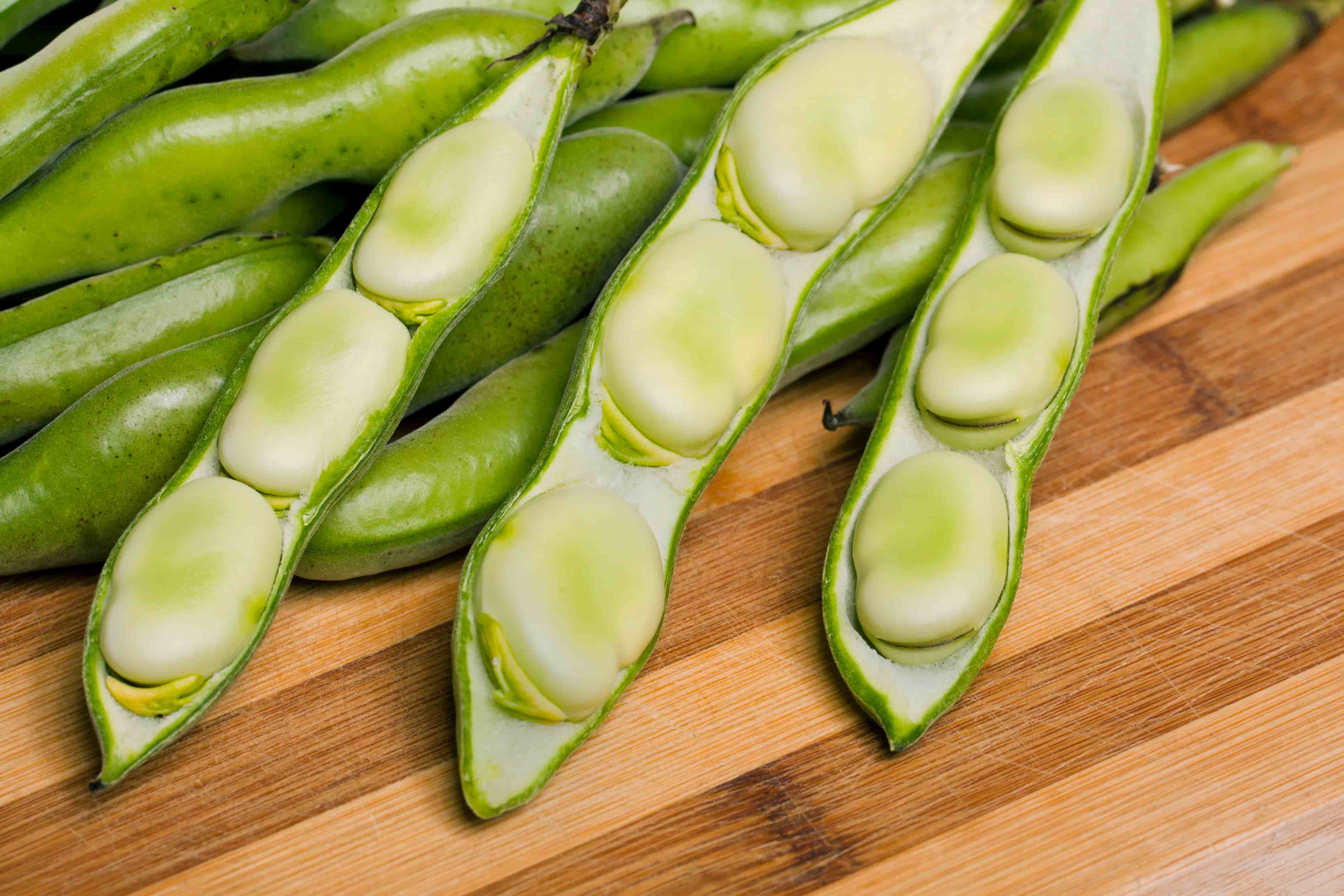 Favas Bio