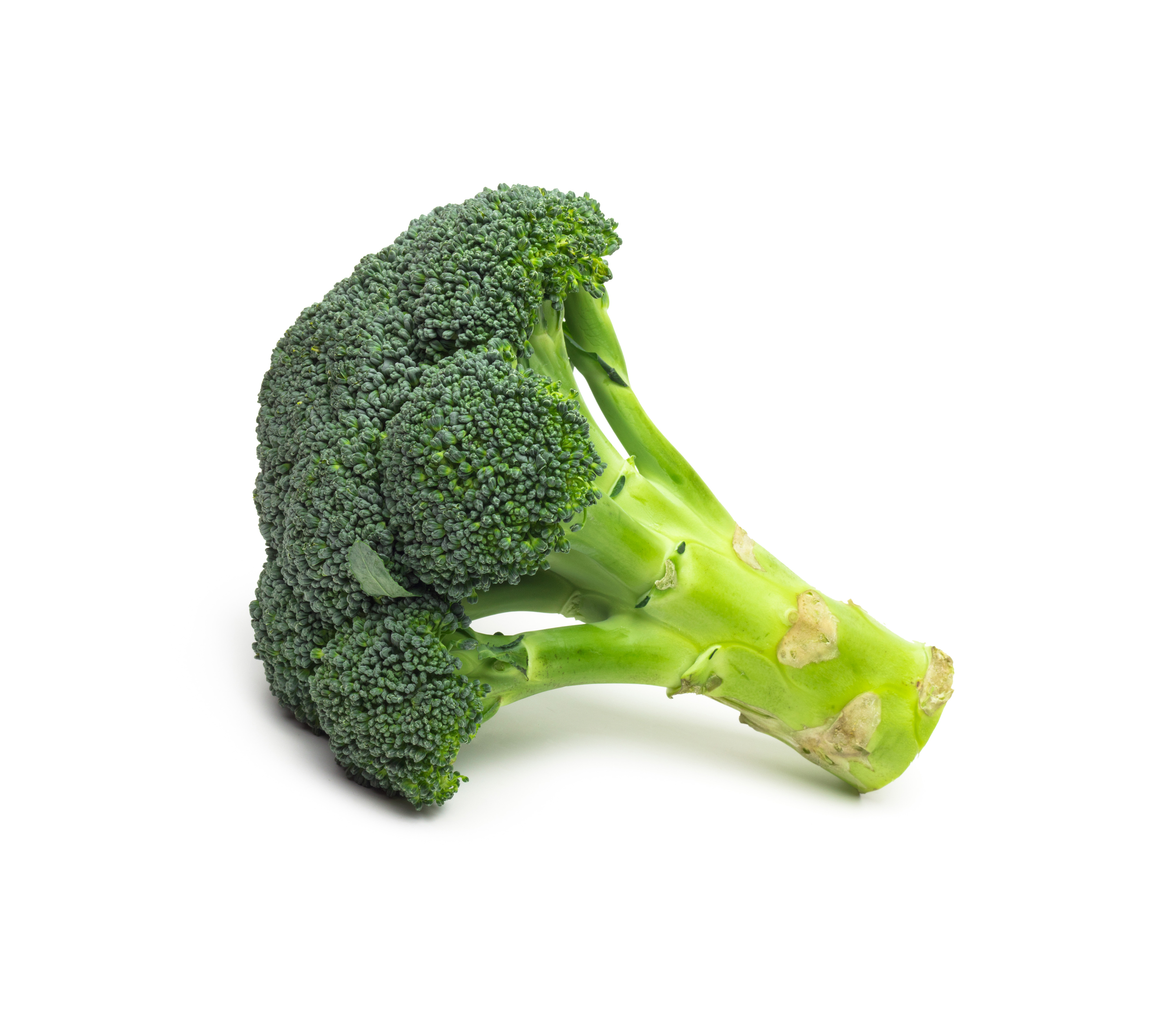 Brócolos Bio