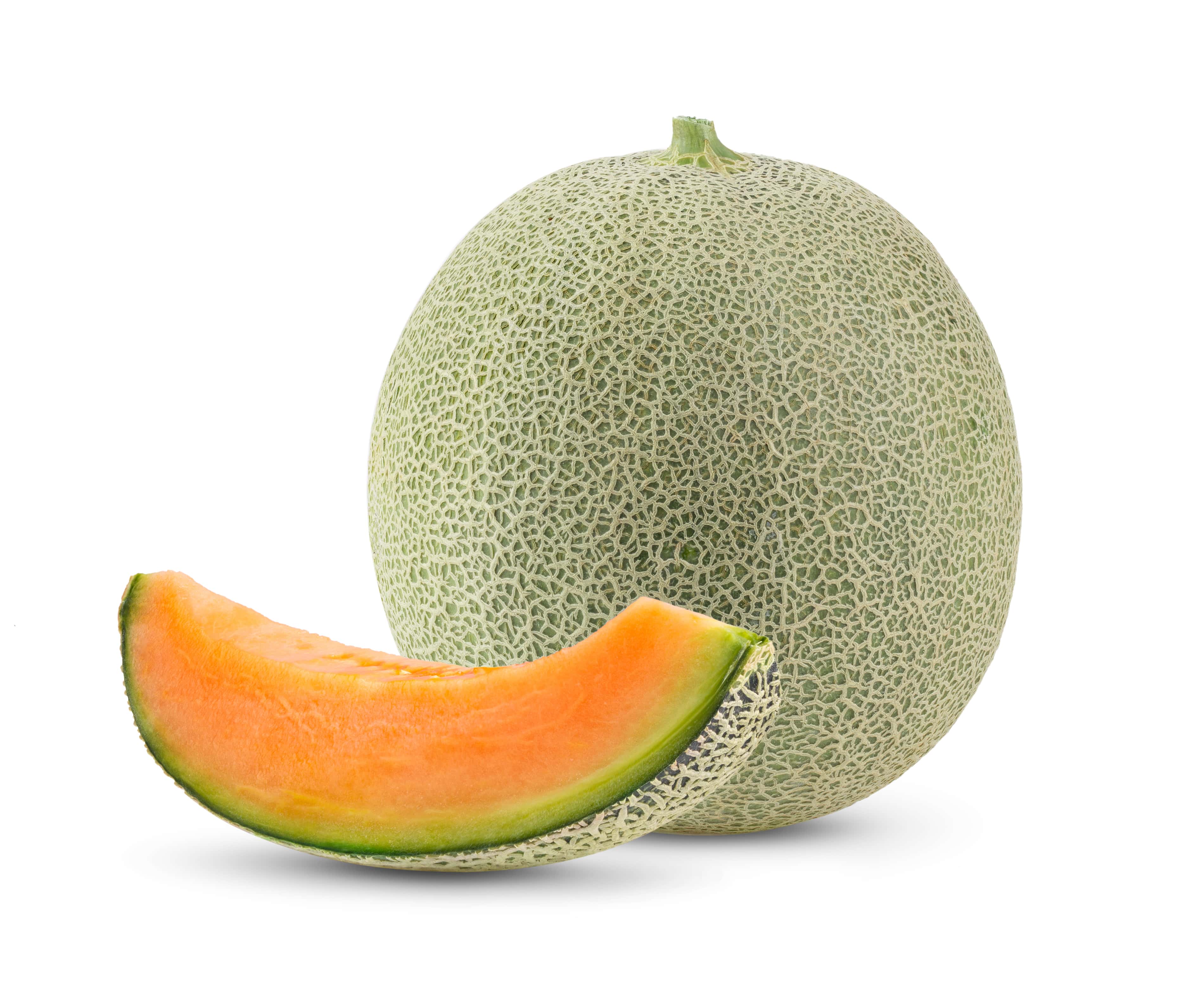 Meloa
