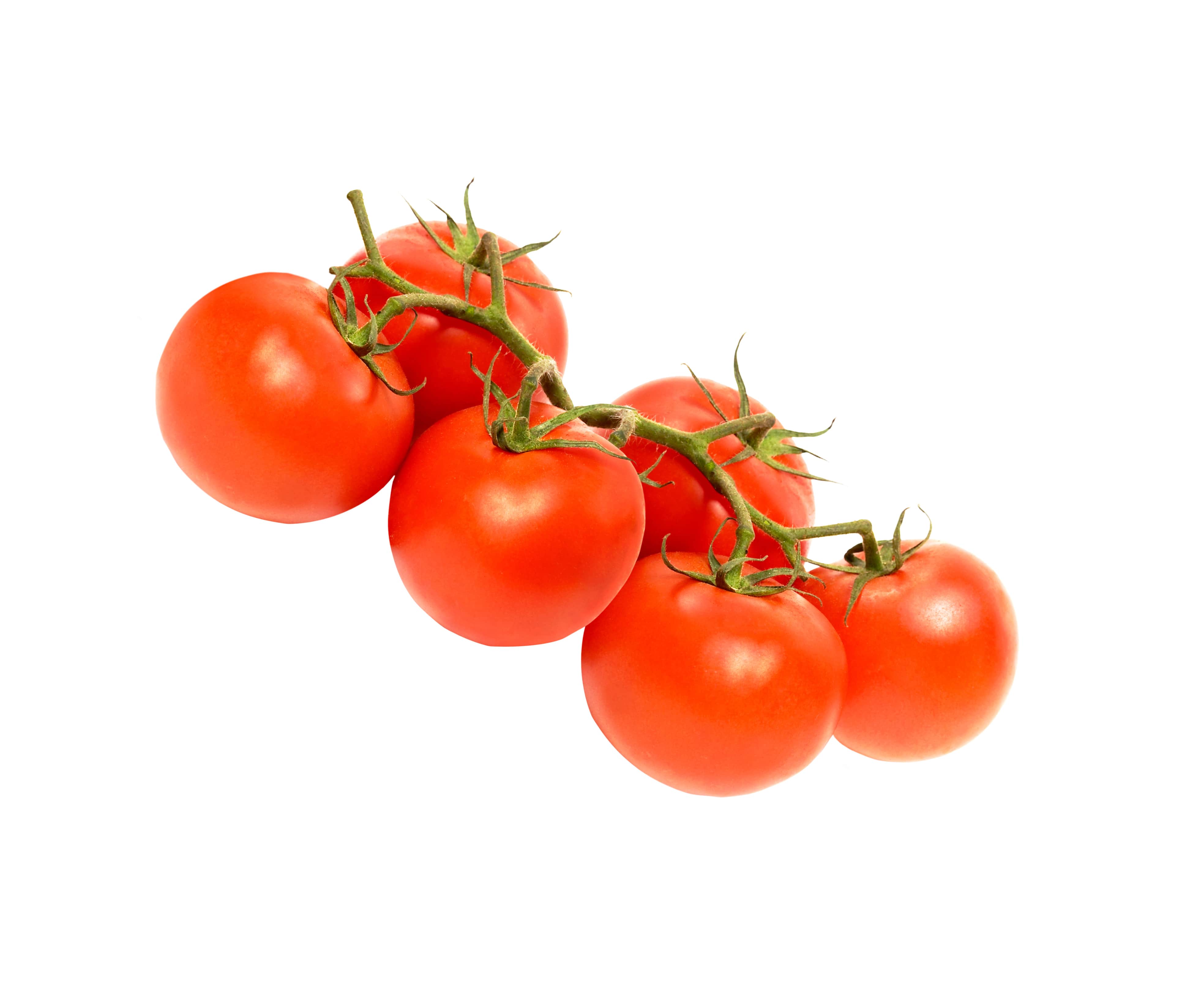 Tomate cereja