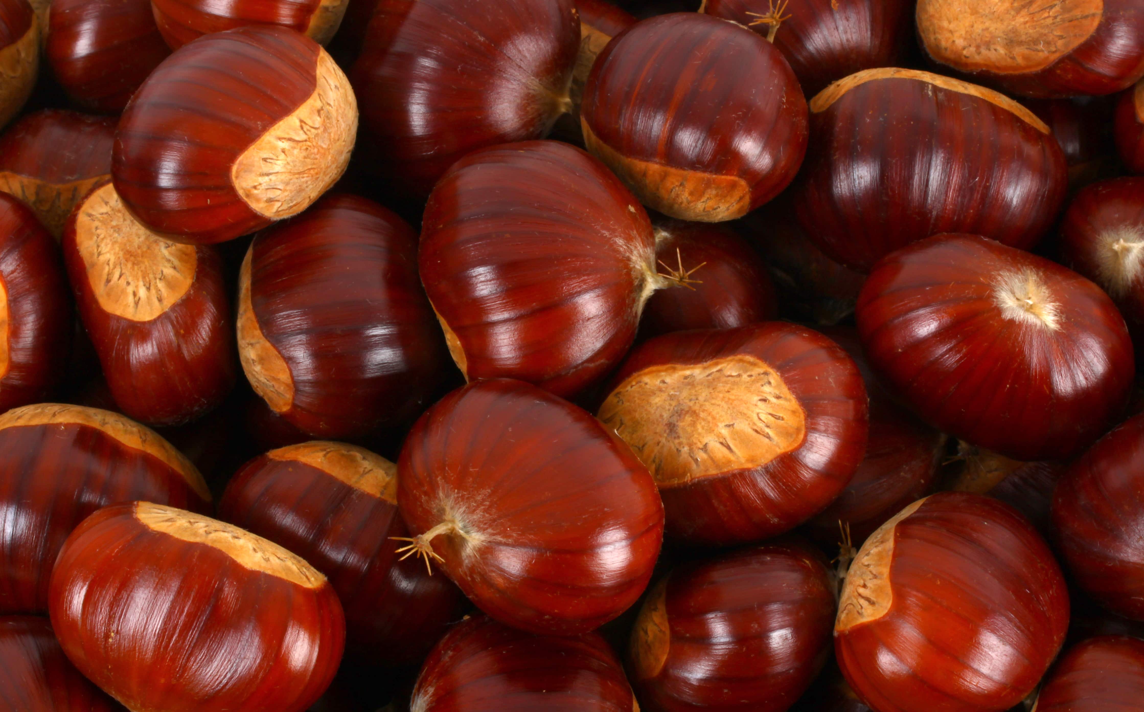 Castanha