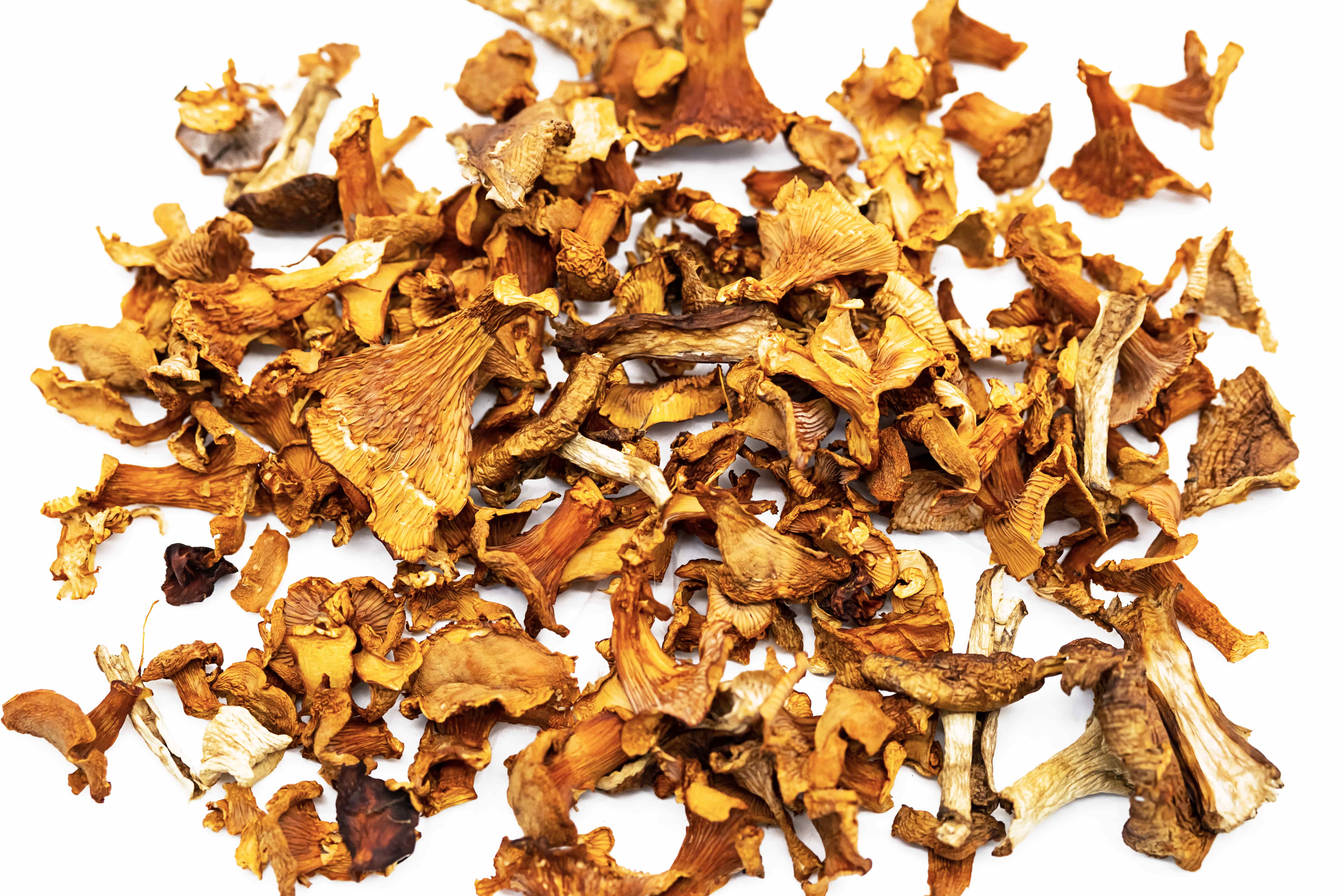 Cogumelos desidratados Bio