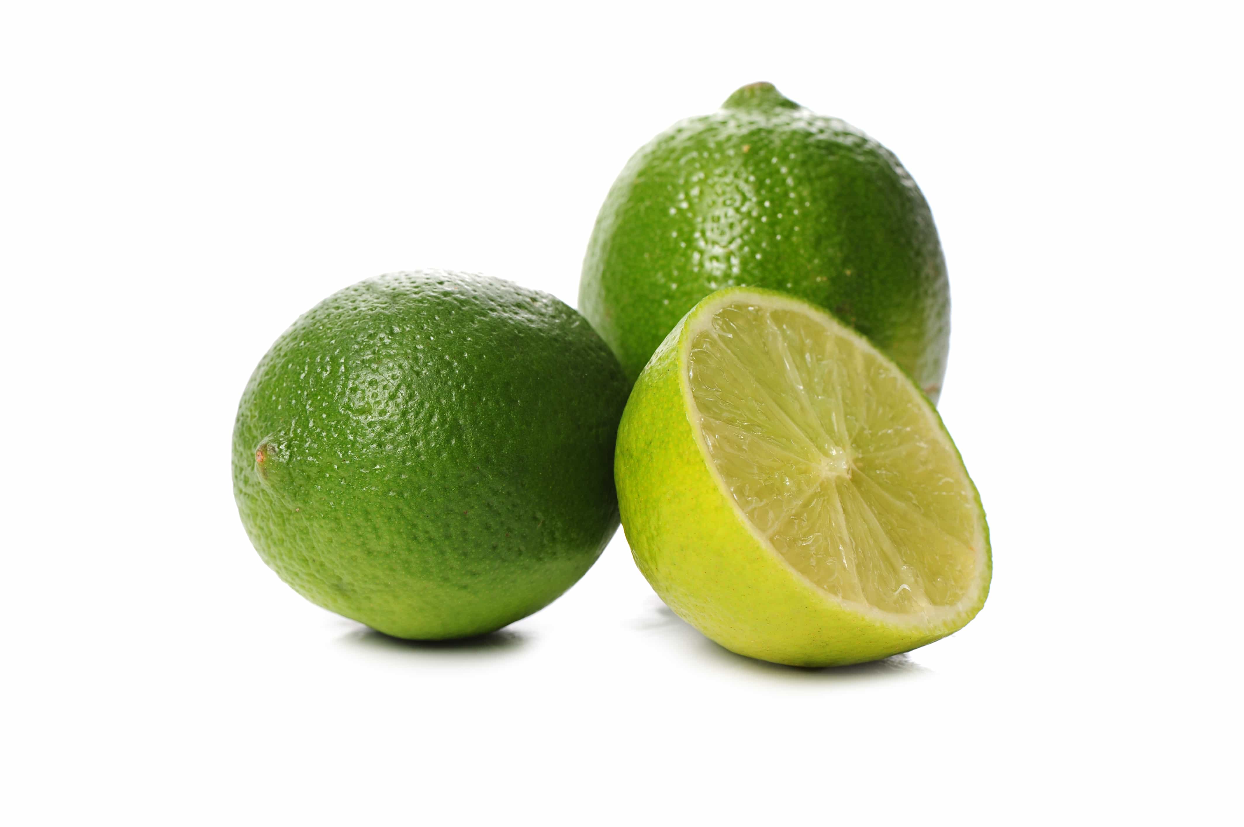 Infusão Limonete - Maestoso