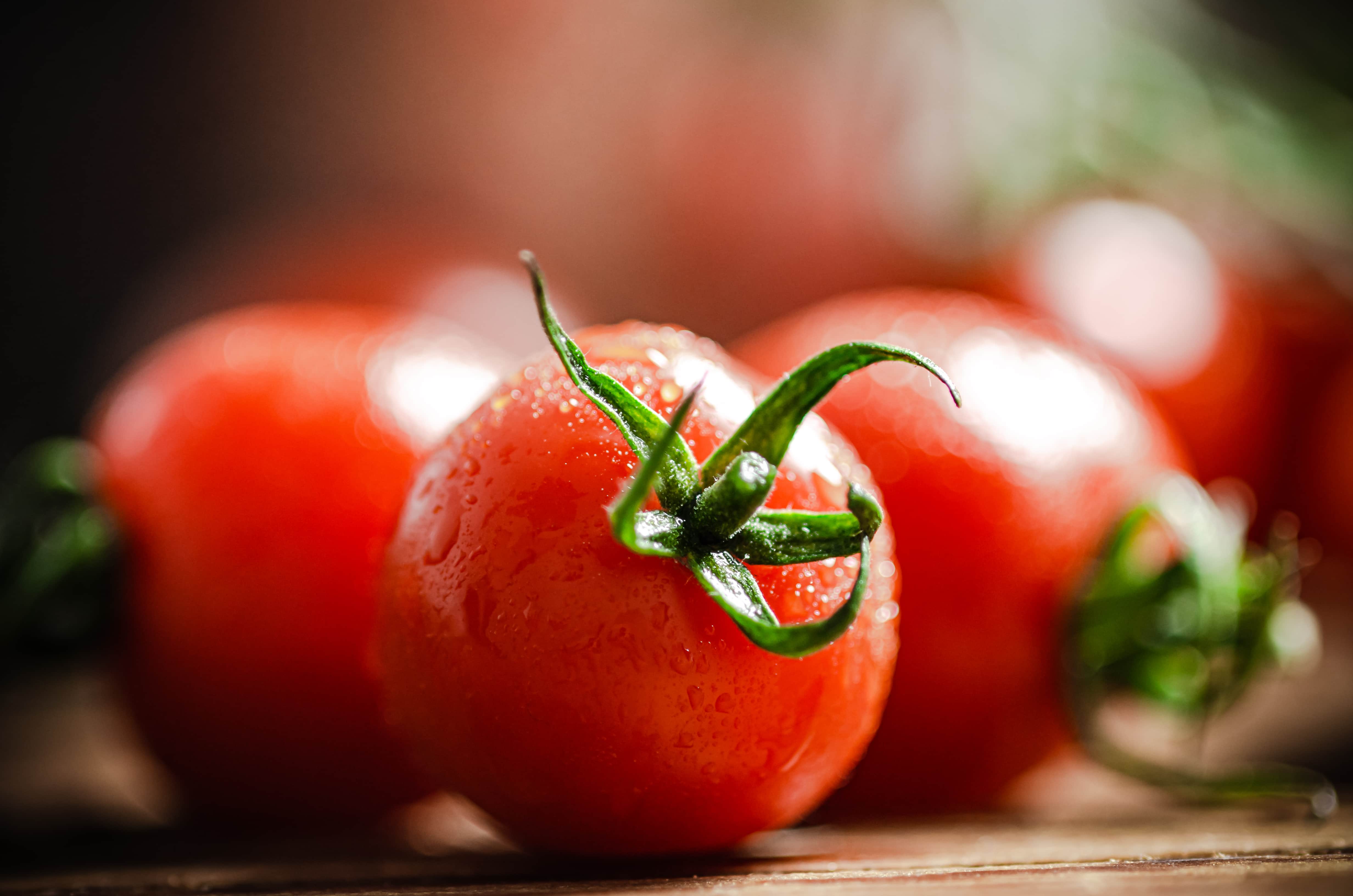 Tomate maçã