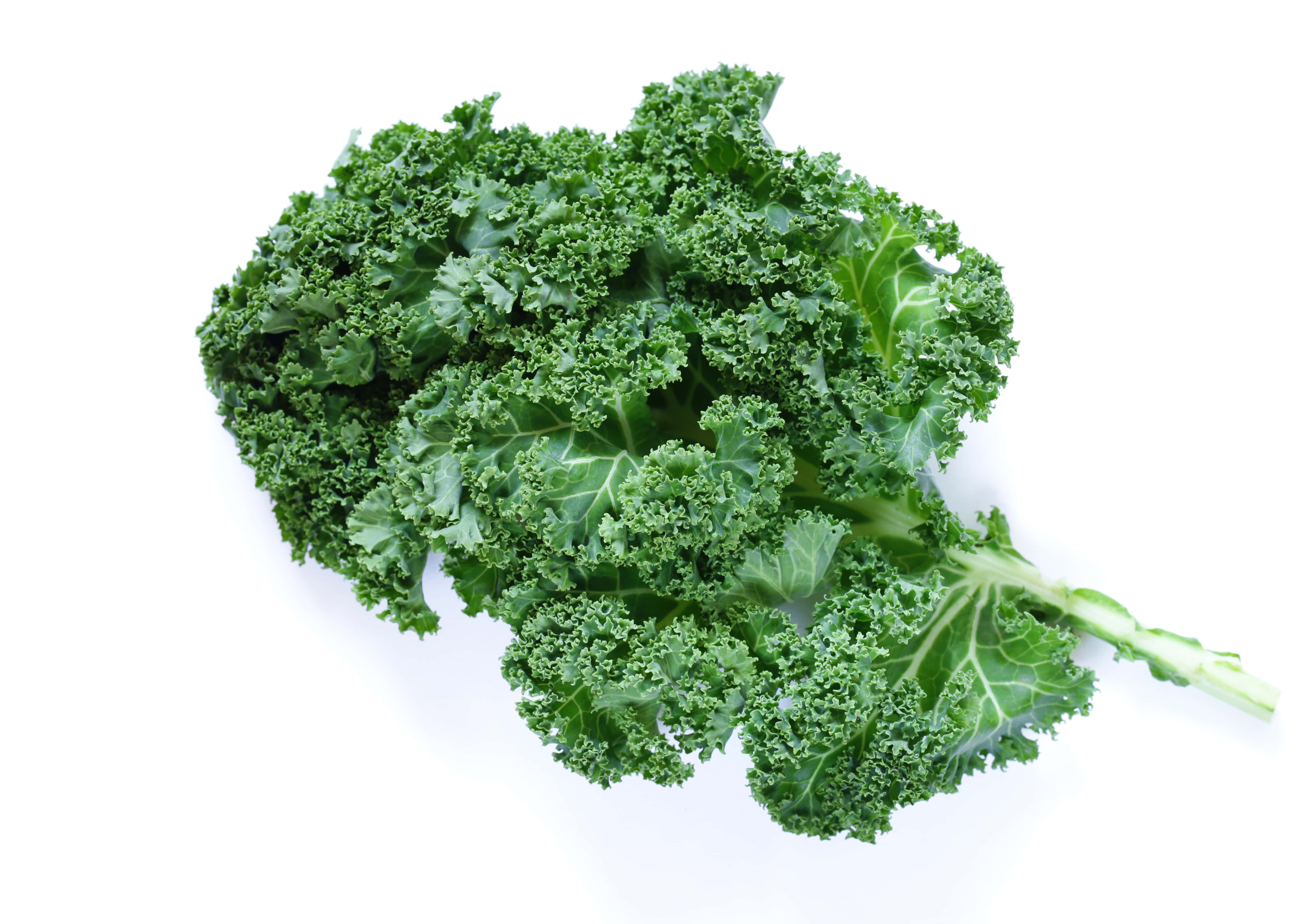 Couve kale Bio