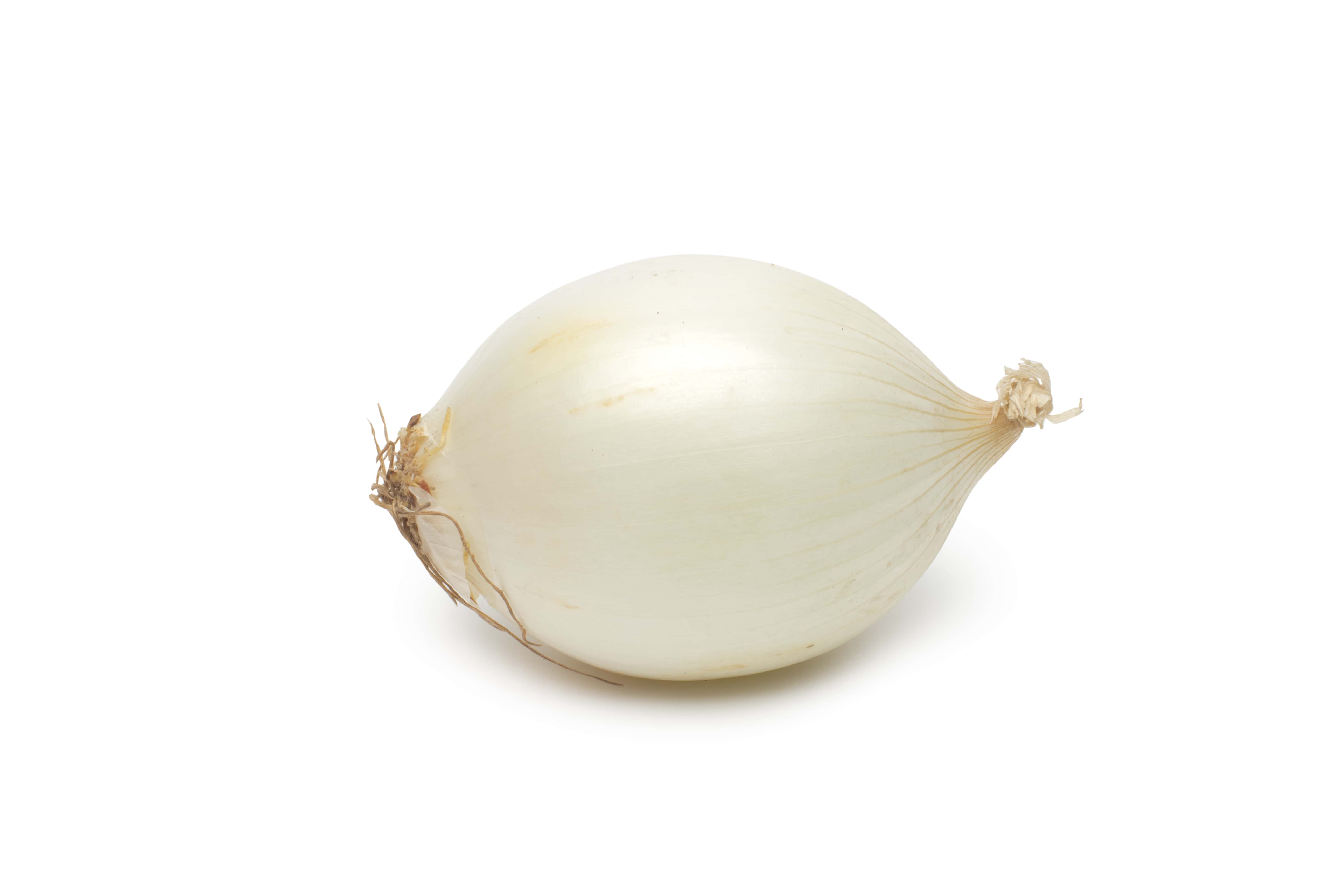 Cebola branca