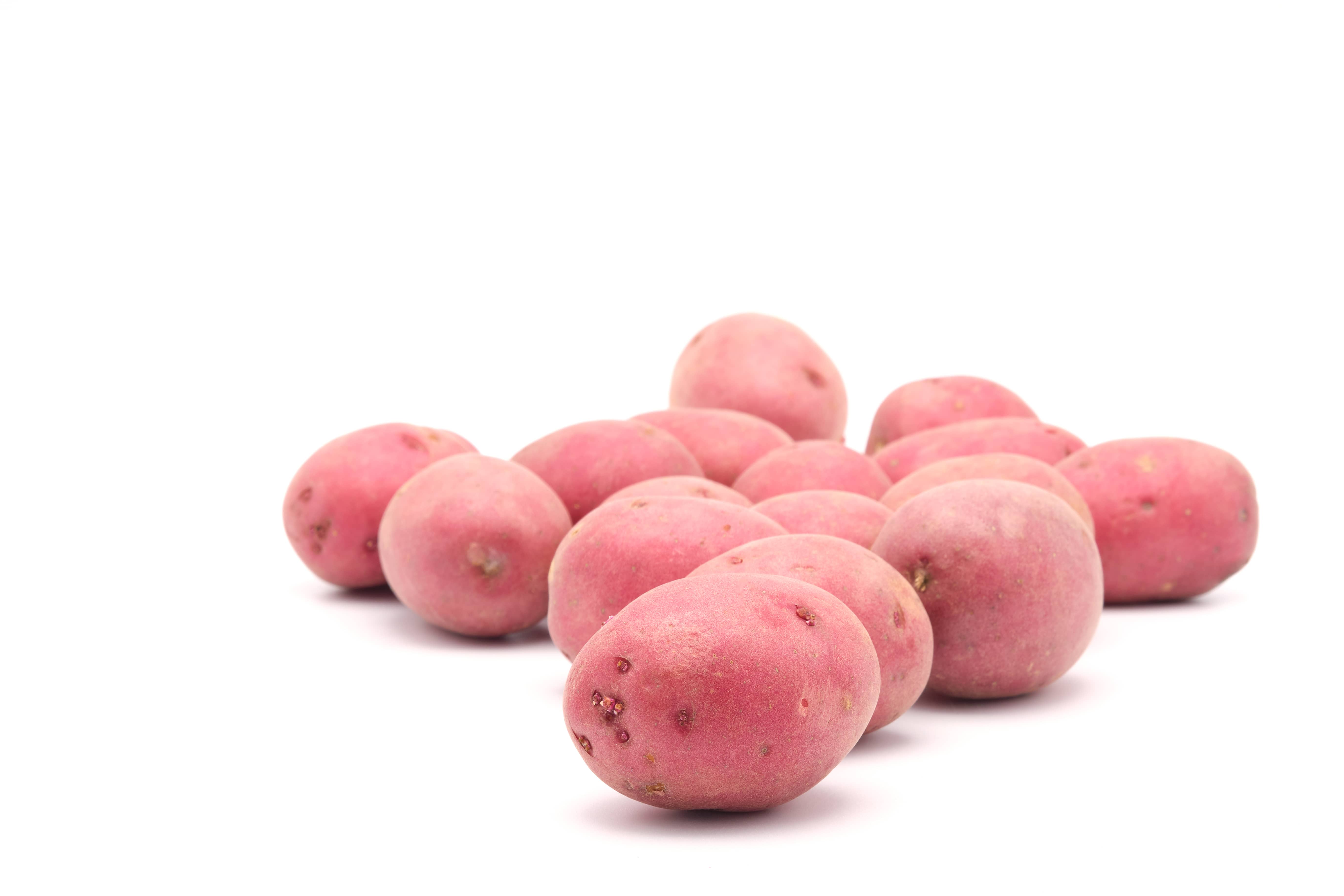 Batata vermelha