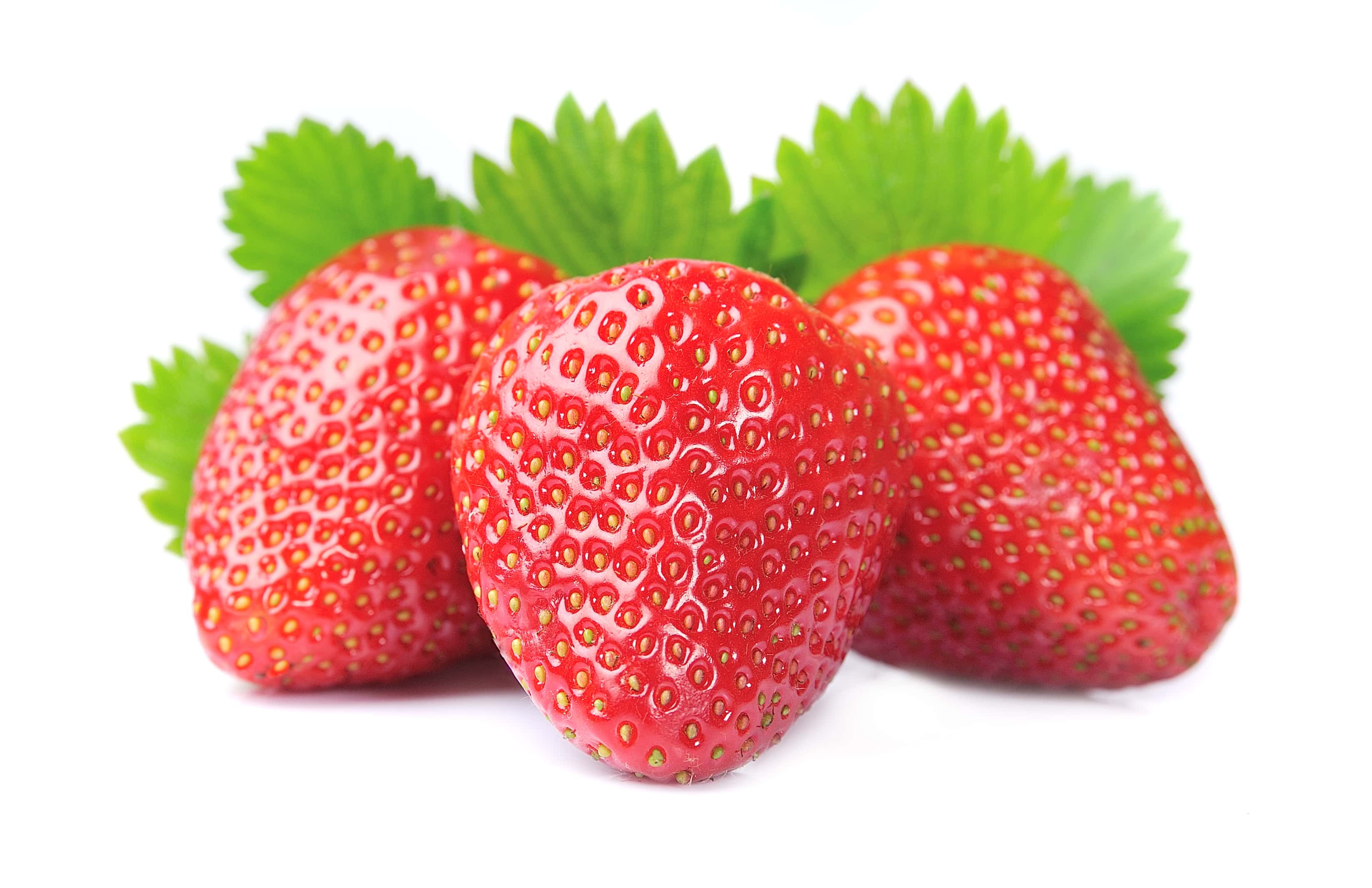 Morango Bio